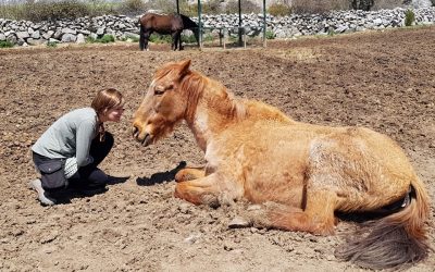 30 de noviembre y 1 de diciembre de 2019 – MIX DE FORMACIÓN: Empresas / Parejas / Constelaciones