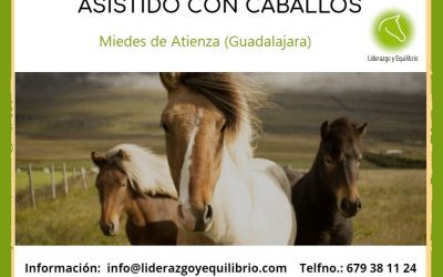 Formación Coaching Asistido con Caballos Julio 2.020 (Guadalajara)