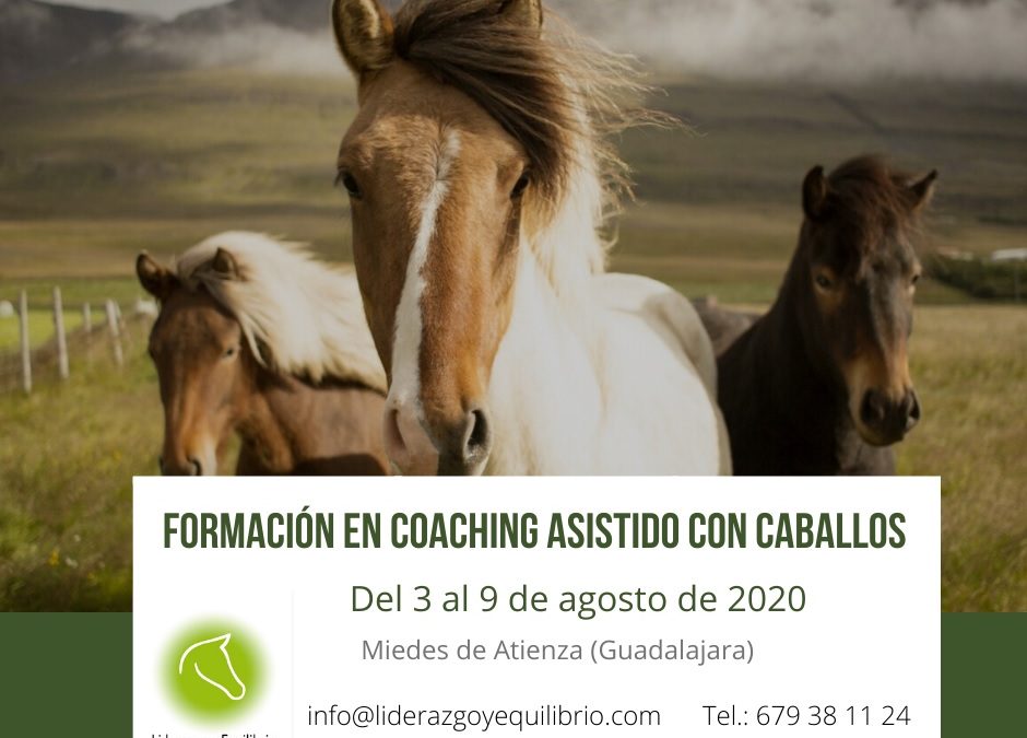 Formación coaching asistido con caballos. Agosto 2020 (Guadalajara)