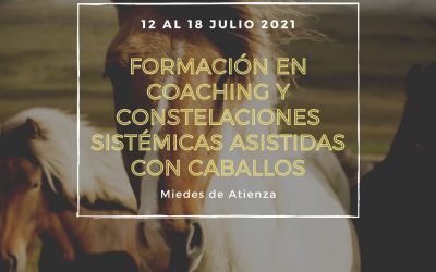 Formación práctica coaching y constelaciones sistémicas asistidas con caballos (Julio 2.021)