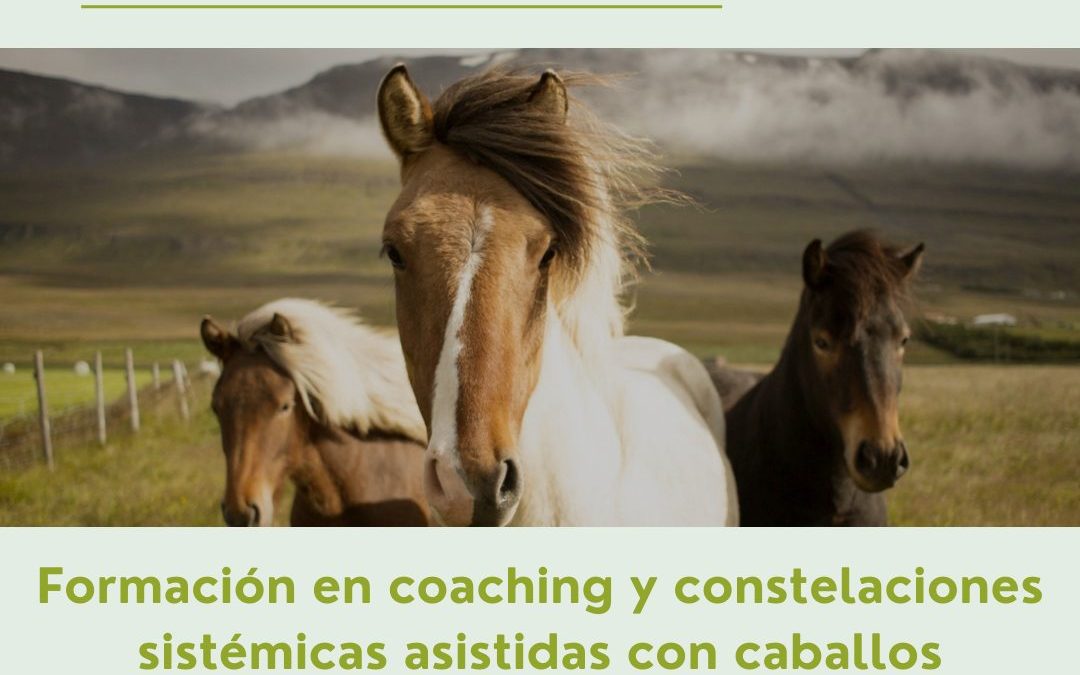 Doble formación coaching y constelaciones sistémicas asistidas con caballos (2 a 8 Agosto 2.021)