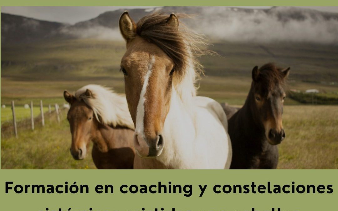 Formación en coaching y constelaciones sistémicas asistidas con caballos (Octubre 2.021 – Febrero 2.022)