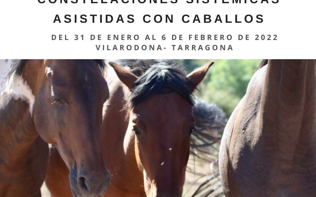Por primera vez en Cataluña: Doble formación práctica coaching y constelaciones sistémicas asistidas con caballos (31 de enero a 6 de febrero 2022)