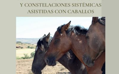 Formación en coaching y constelaciones sistémicas asistidas con caballos (un fin de semana al mes de abril  julio 2.022)