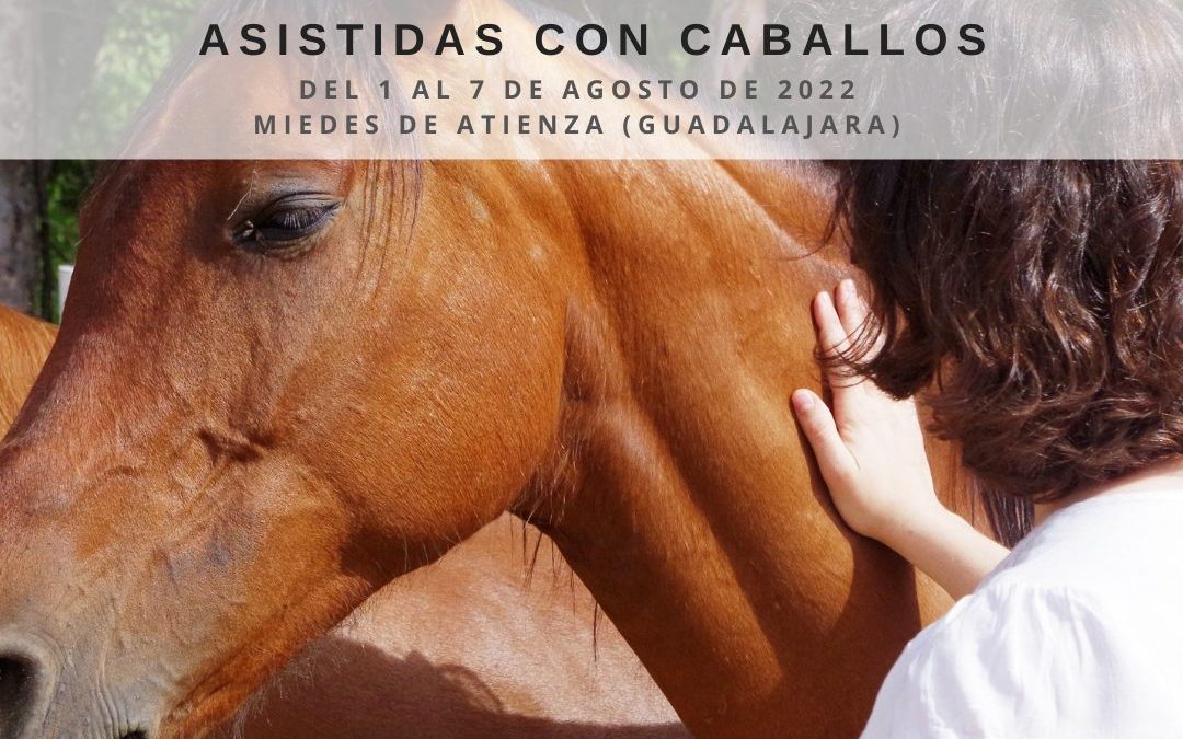 Doble formación coaching y constelaciones sistémicas asistidas con caballos (Del 1 al 8 agosto 2022)