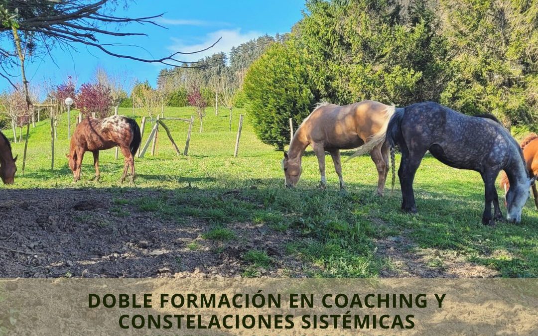 Del 27 de junio al 3 de julio de 2022 Por primera vez en el País Vasco la doble formación en coaching y constelaciones sistémicas asistidas con caballos. 
