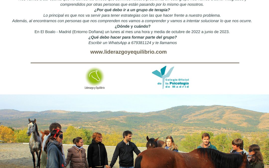 Grupo de psicoterapéutico de gestión de la ansiedad y el estrés asistido con caballos