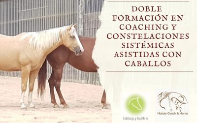 17-23 Julio 2.023 (Mallabia – Bizkaia) – Doble formación en Coaching y Constelaciones sistémicas asistidas con caballos
