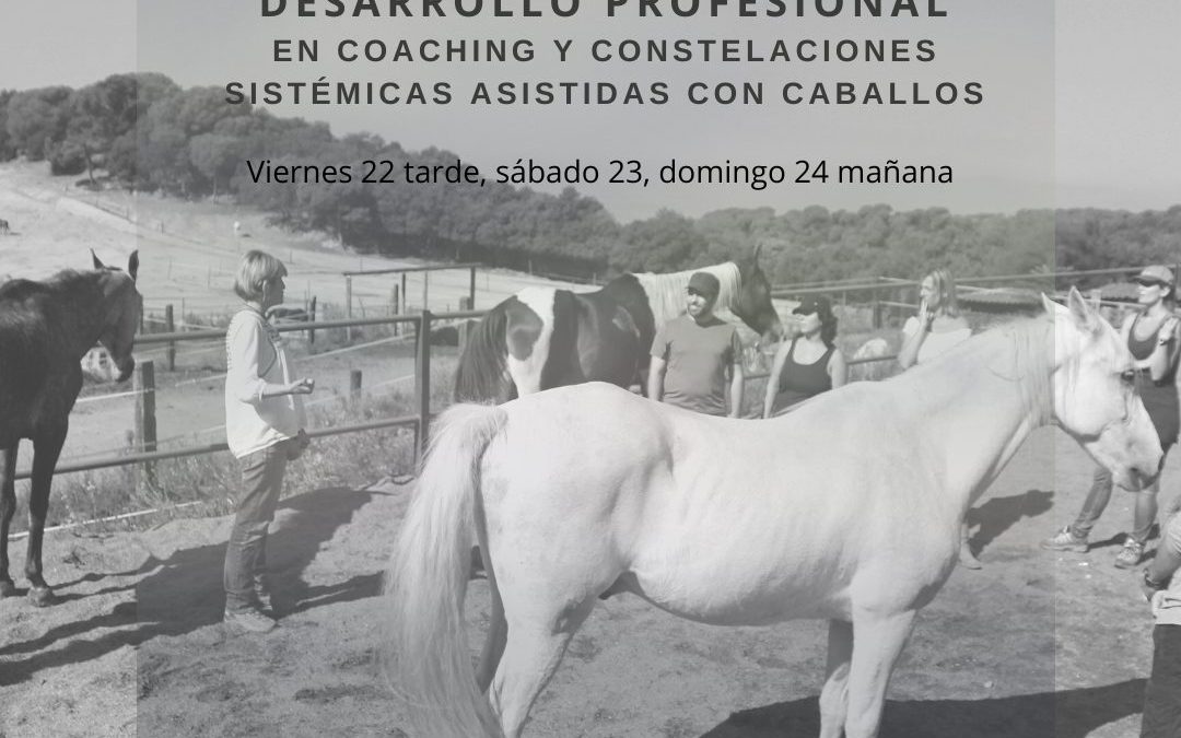 22, 23 y 24 septiembre de 2.023 – Reciclaje profesional en coaching y constelaciones sistémicas asistidas con caballos
