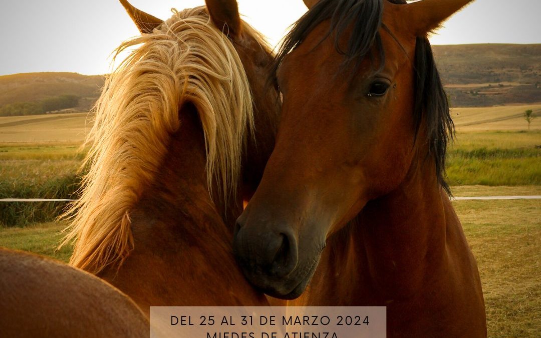 Del 25 al 31 de marzo de 2024 – Doble formación en coaching y constelaciones sistémicas asistidas con caballos