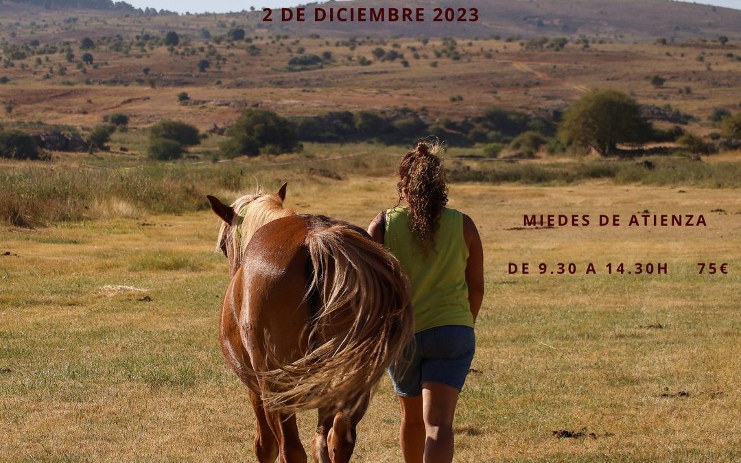 2 de diciembre de 2023– Taller de constelaciones sistémicas asistidas con caballos