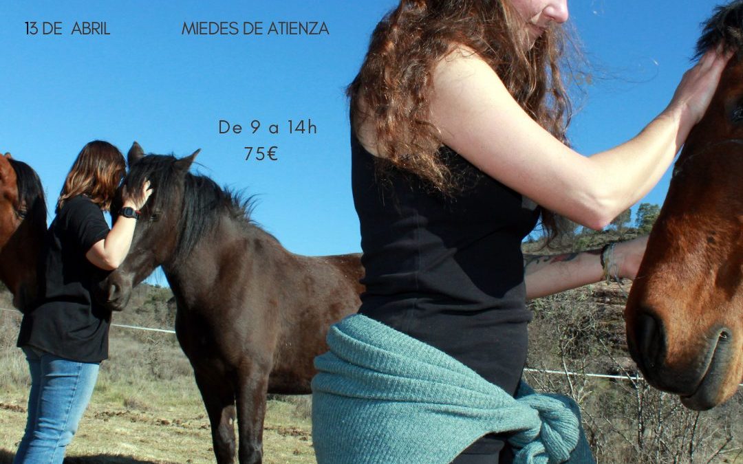 13 de abril 2024 – Taller de constelaciones sistémicas asistidas con caballos