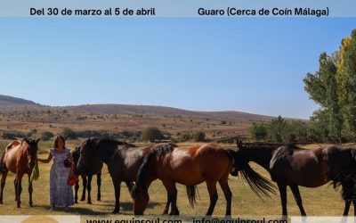 30 Marzo a 5 Abril 2.026 – Doble formación en coaching y constelaciones sistémicas asistidas con caballos