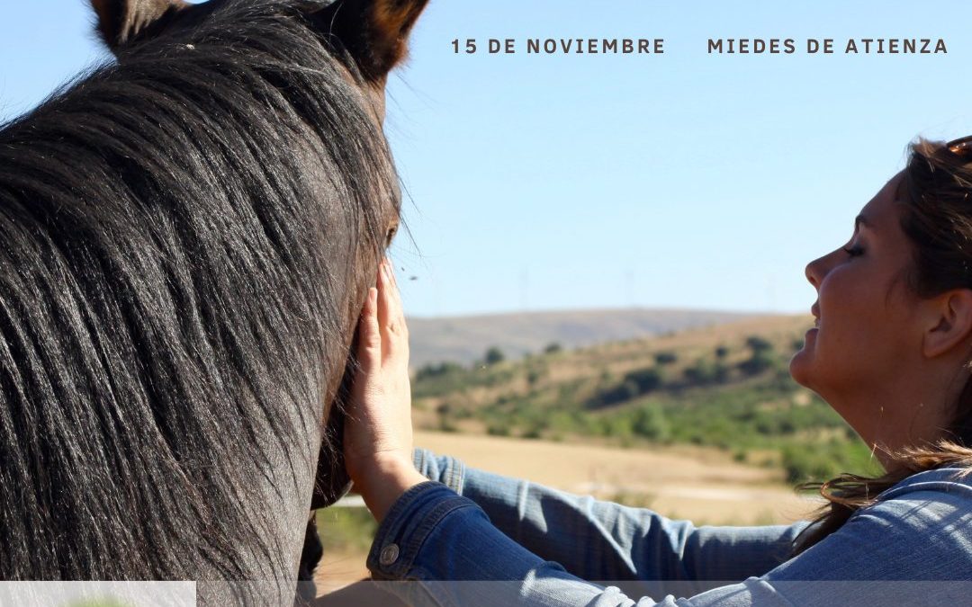 15 de noviembre de 2025 – Taller de constelaciones sistémicas asistidas con caballos