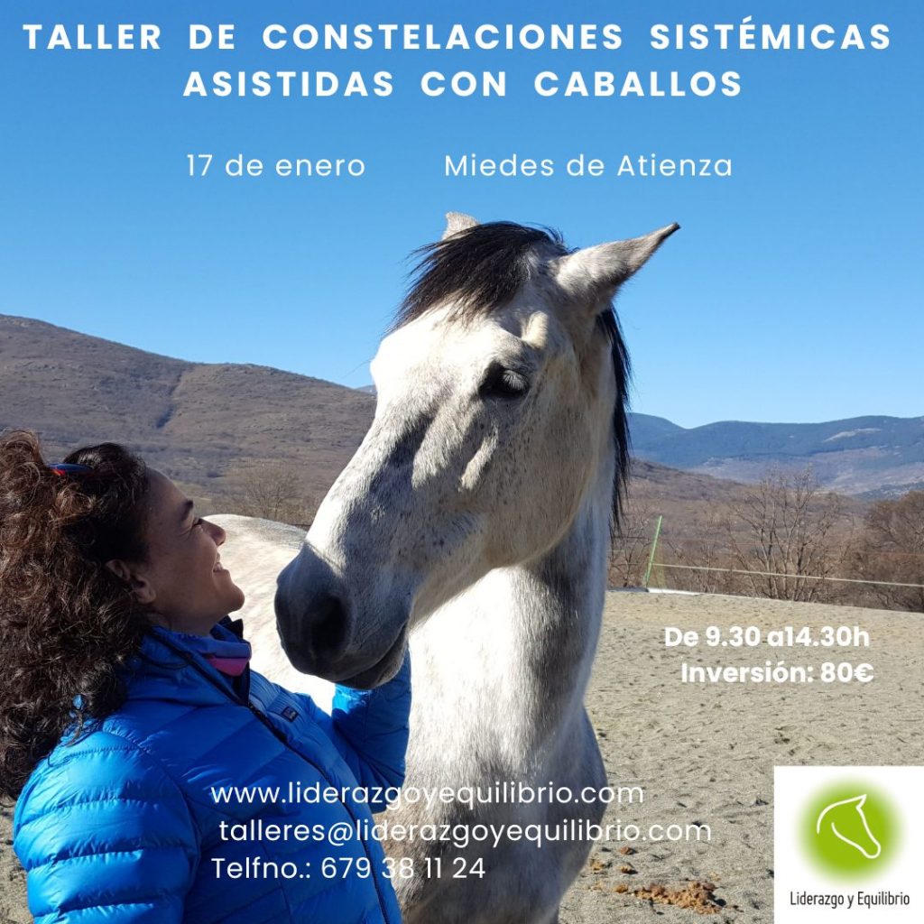 Taller de Constelaciones Sistémicas Asistidas con Caballos