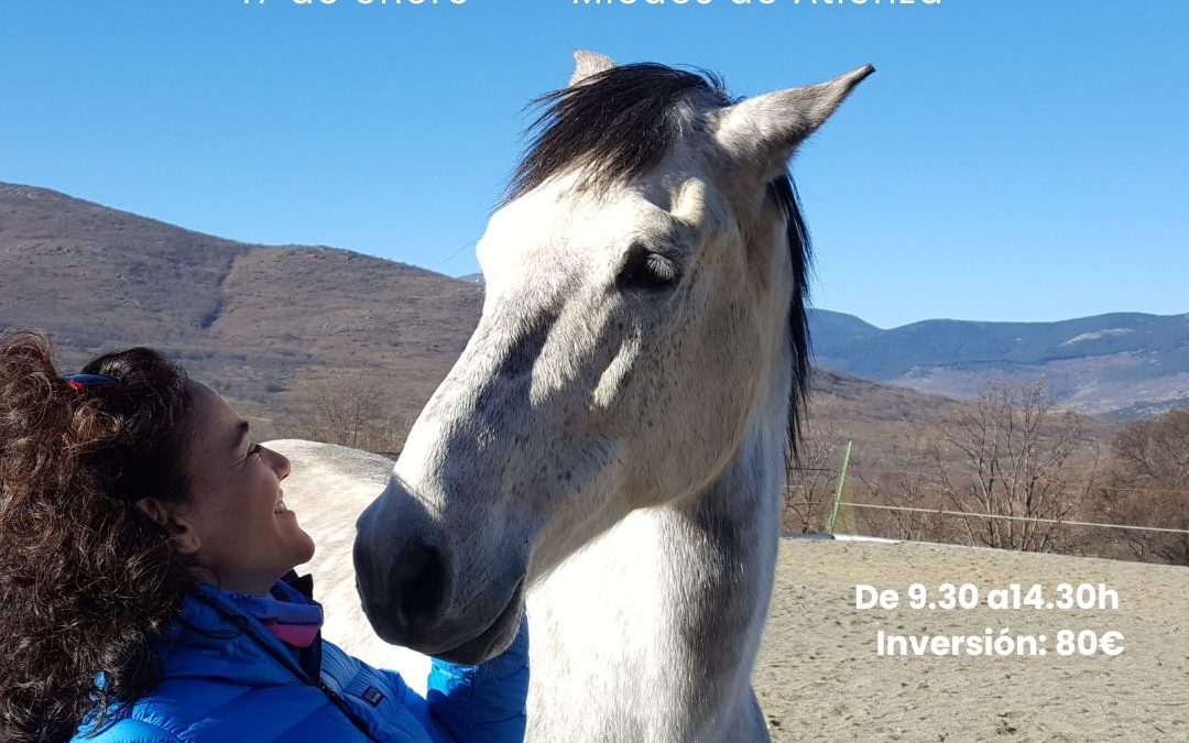 17 de enero de 2026 – Taller de Constelaciones Sistémicas Asistidas con Caballos