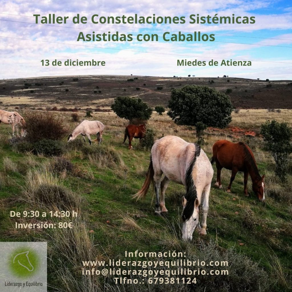 13 de diciembre – Taller de Constelaciones Sistémicas Asistidas con Caballos
