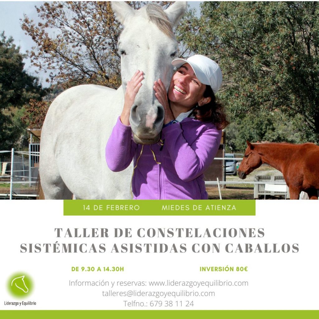 14 de febrero de 2026 – Taller de Constelaciones Sistémicas Asistidas con Caballos
