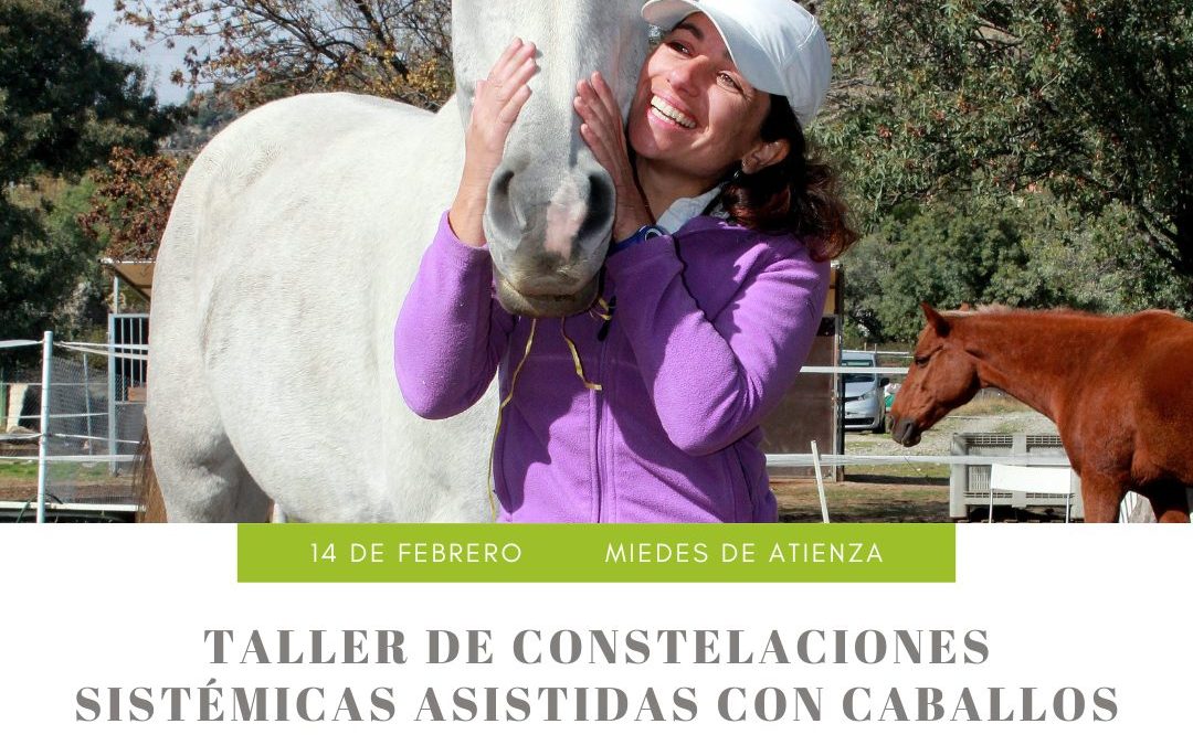 14 de febrero de 2026 – Taller de Constelaciones Sistémicas Asistidas con Caballos