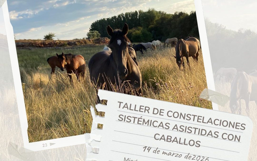 14 de marzo de 2026 – Taller de Constelaciones Sistémicas Asistidas con Caballos