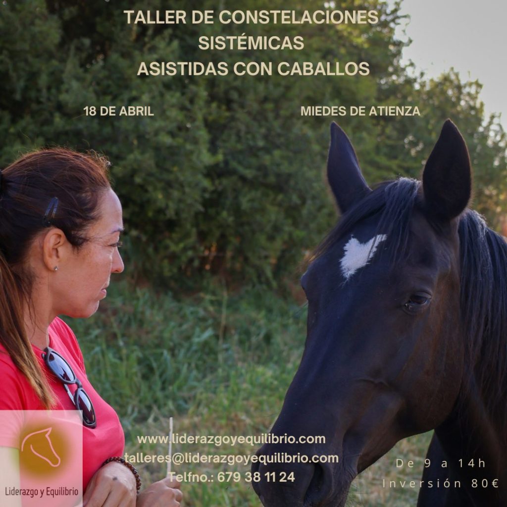 Taller de Constelaciones Sistémicas Asistidas con Caballos