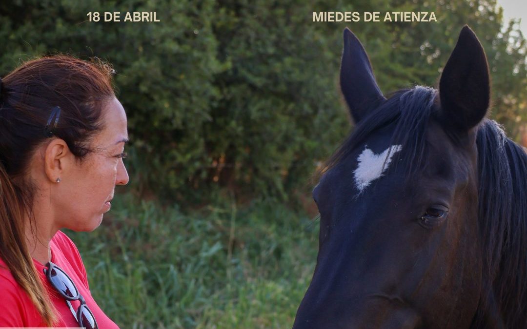 Taller de Constelaciones Sistémicas Asistidas con Caballos