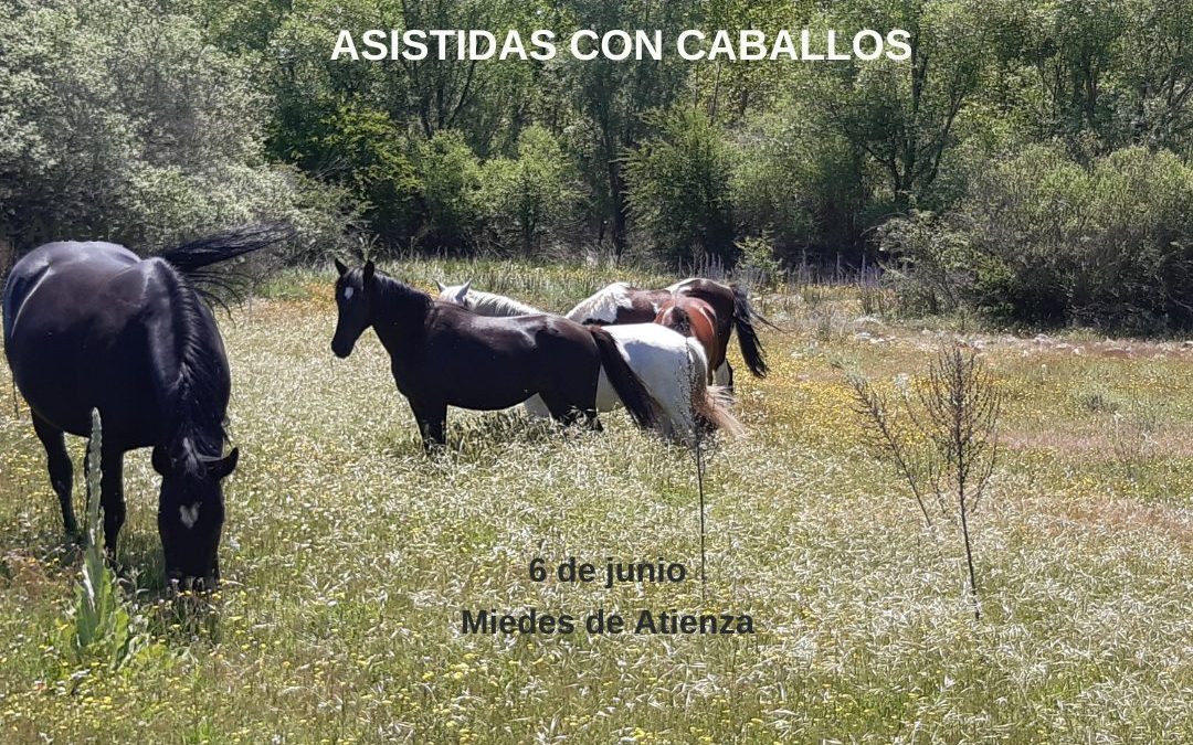 6 de junio de 2026 – Taller de Constelaciones Sistémicas Asistidas con Caballos
