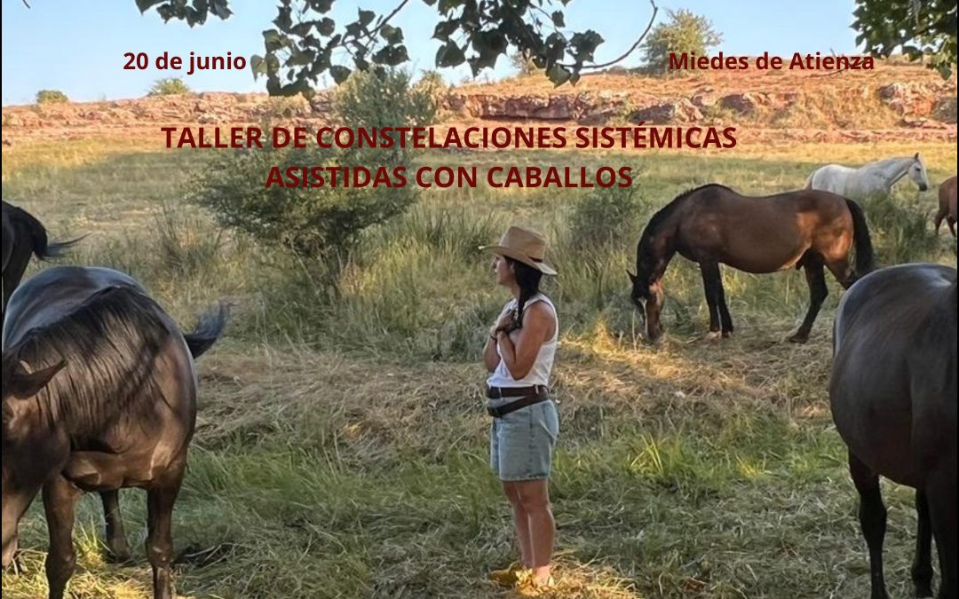 Taller de Constelaciones Sistémicas Asistidas con Caballos