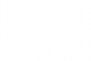 1 logo web liderazgo y equilibrio