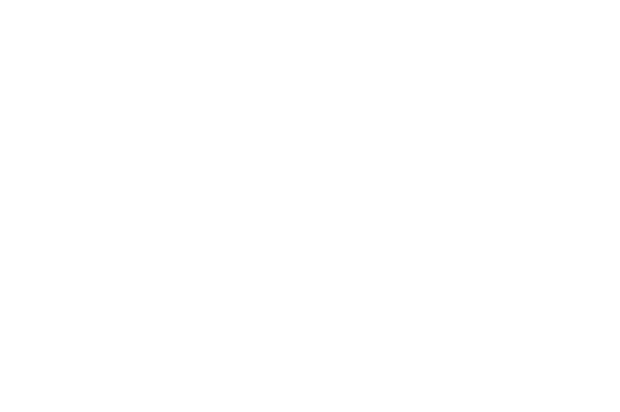 1 logo web liderazgo y equilibrio