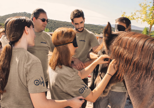 mejorar la eficiencia y cohesión del equipo de trabajo
