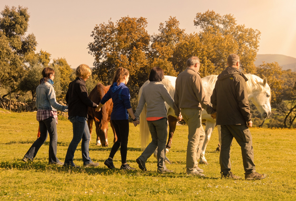 Coaching asistido con caballos