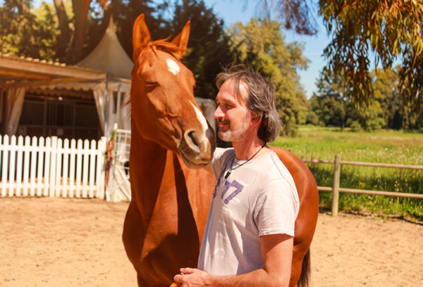 Psicoterapia asistida con caballos.