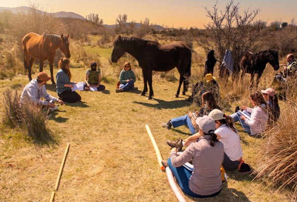 doble formacion en coaching y constelaciones con caballos 2