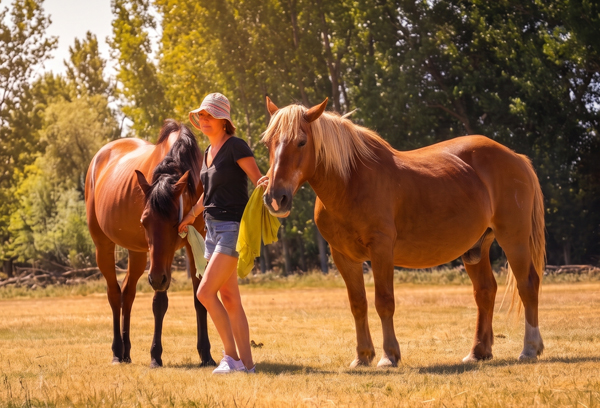 Actualización de competencias en coaching y constelaciones sistémicas asistidas con caballos 3